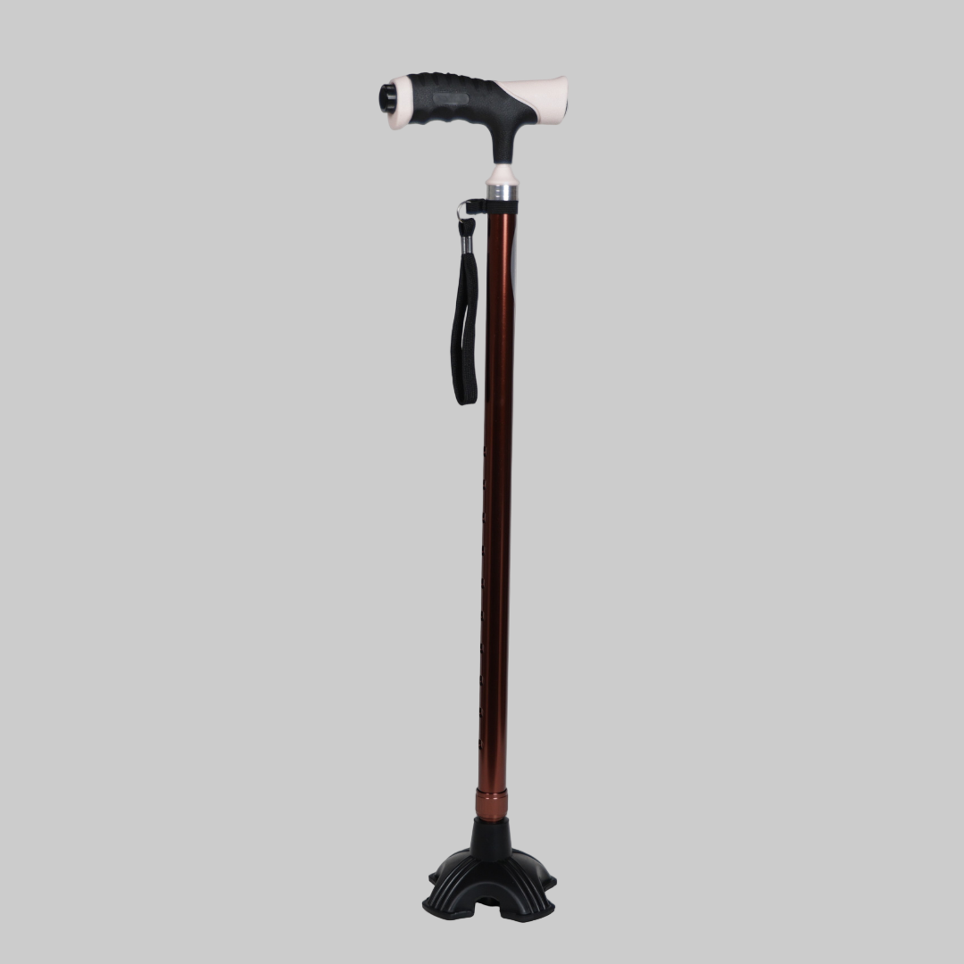 Walking Sticks with LED Light
