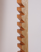 Finger Wall Ladder