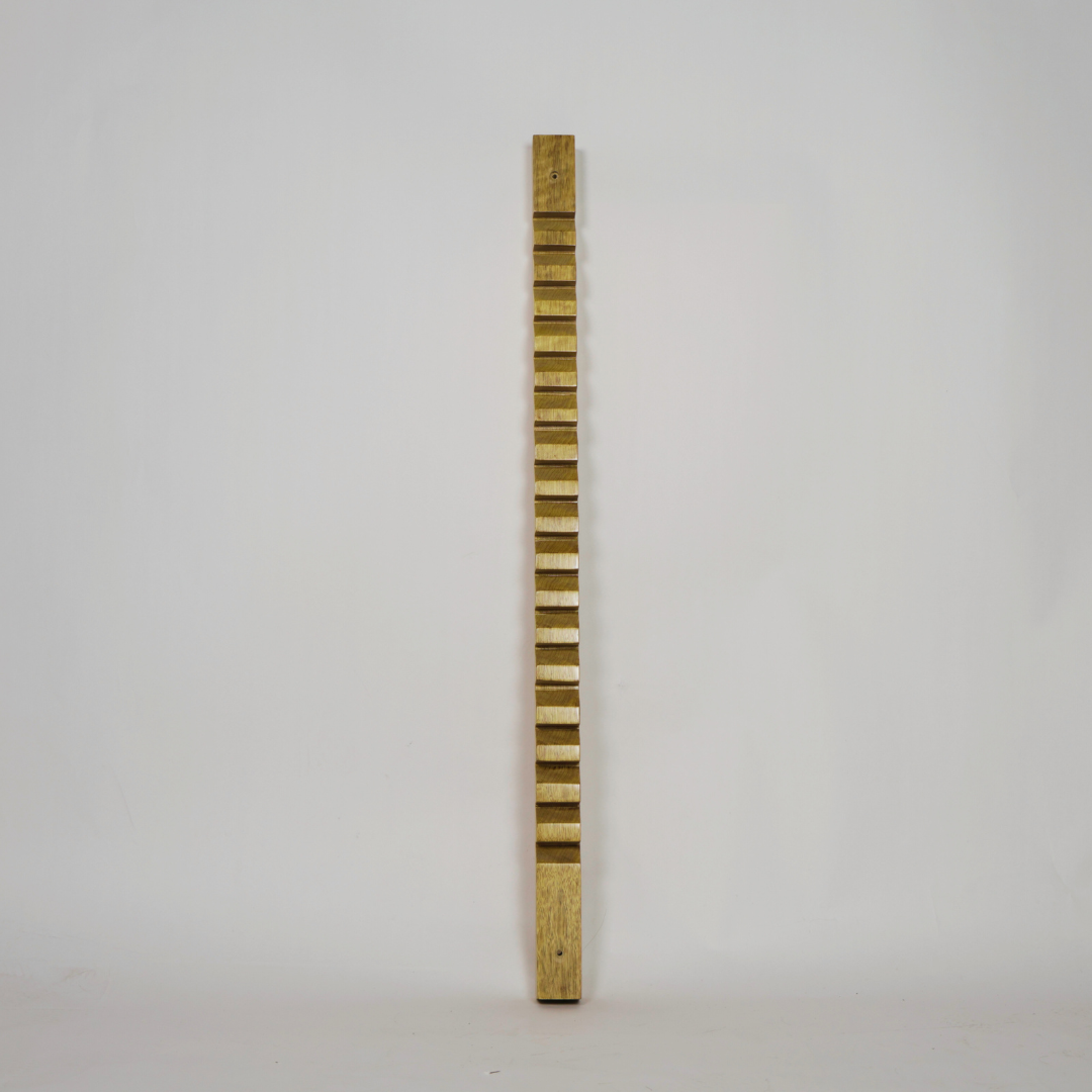Finger Wall Ladder