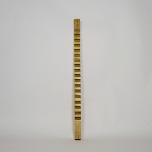 Finger Wall Ladder