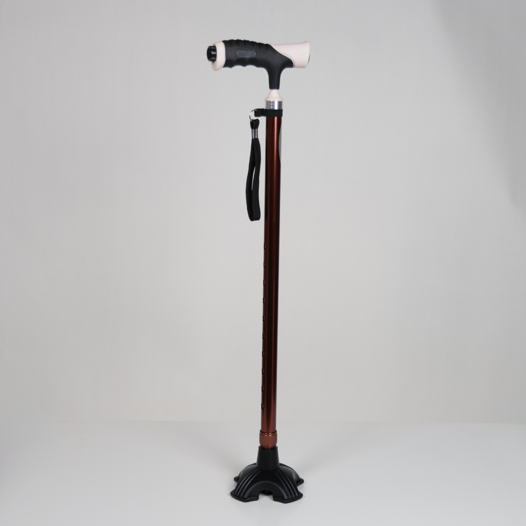 Walking Sticks with LED Light