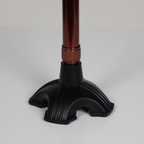 Walking Sticks with LED Light