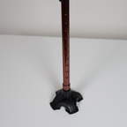 Walking Sticks with LED Light