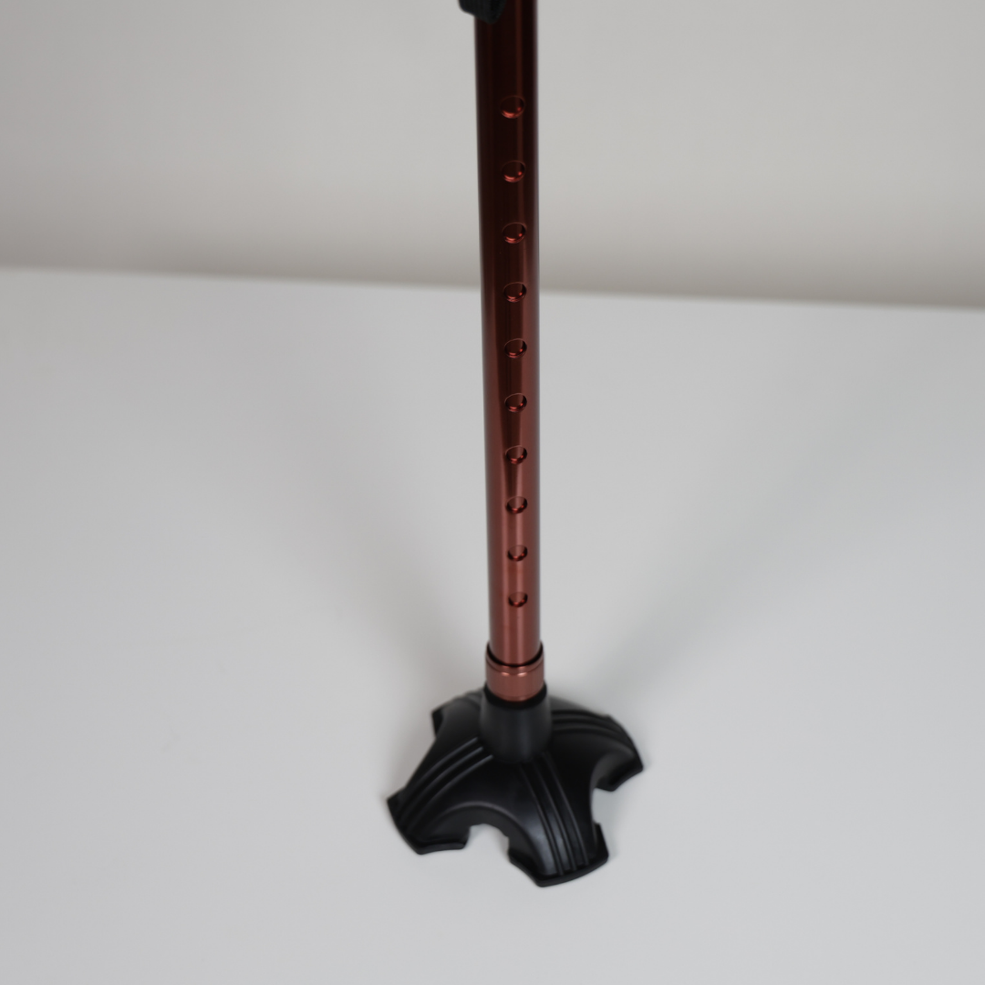 Walking Sticks with LED Light