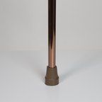Walking Stick