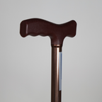 Walking Stick