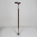 Walking Stick