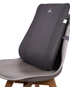 Back Rest